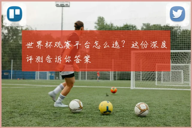 世界杯观赛平台怎么选？这份深度评测告诉你答案