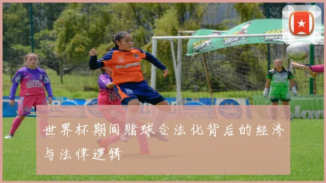 世界杯期间赌球合法化背后的经济与法律逻辑